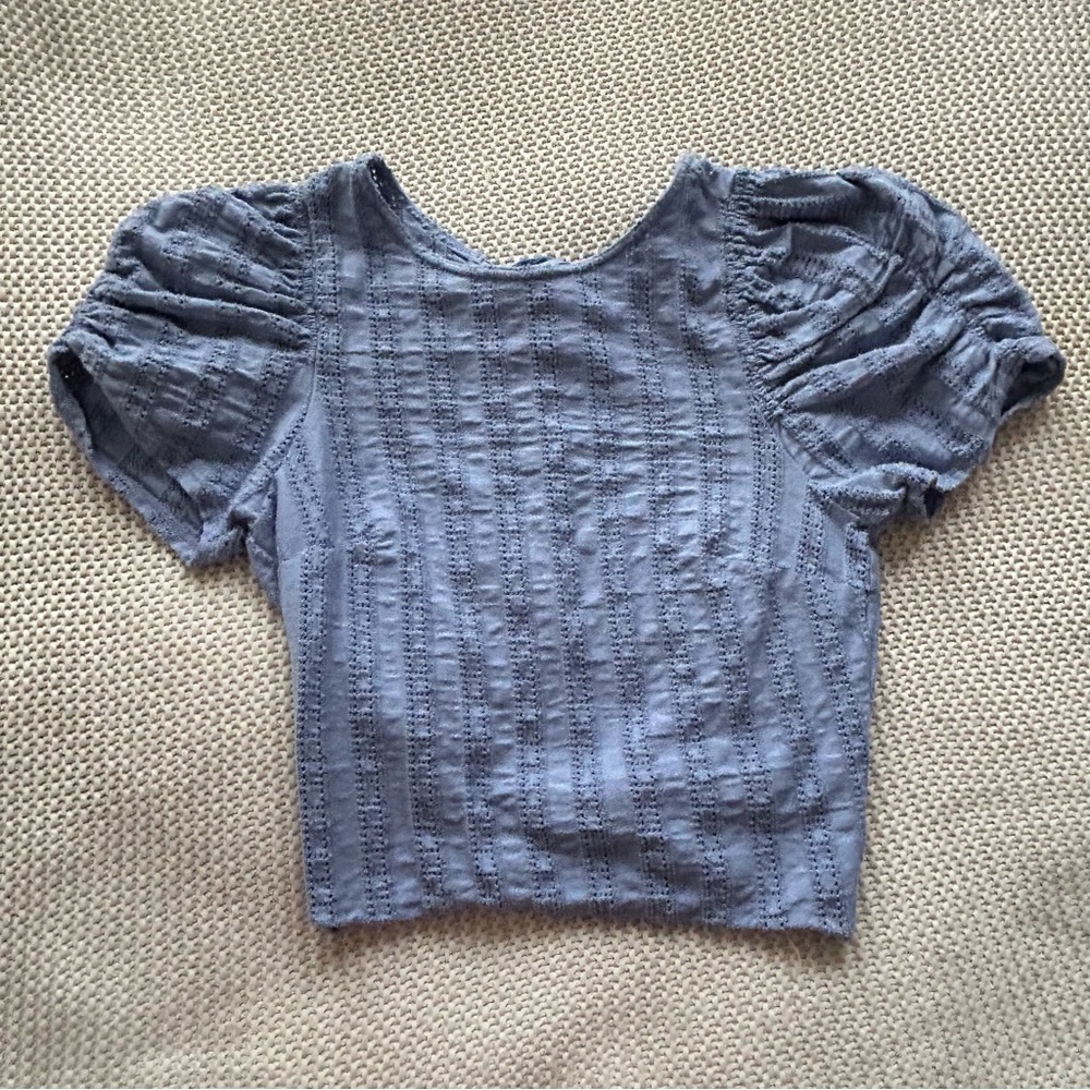 Free People Star Struck Puff Sleeve Open Back Crop Top in Baby Blue Eyelet Cotto